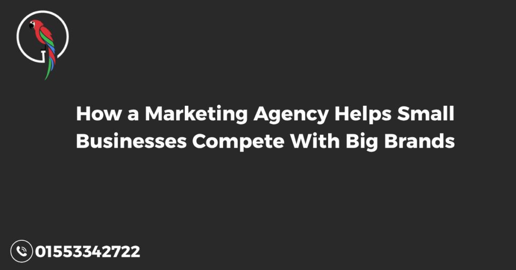 marketing agency for small business