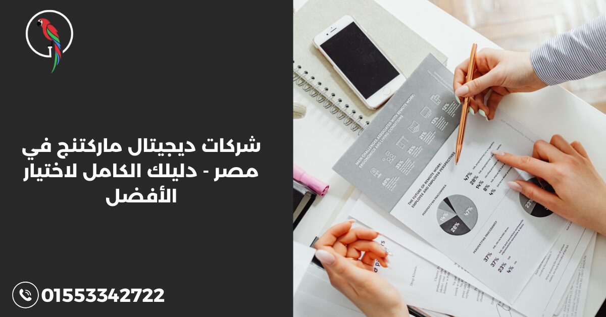 شركات ديجيتال ماركتنج في مصر