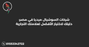شركات السوشيال ميديا في مصر