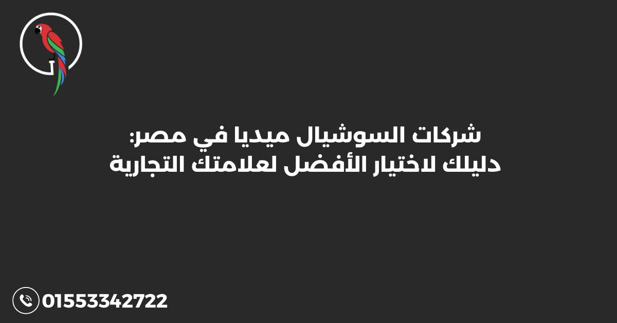 شركات السوشيال ميديا في مصر